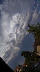Herend