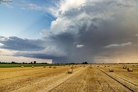 Szolnoktól délre (2025. 07. 27.)