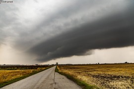 Tószeg (2025. 09. 14.)