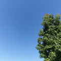 Szeged