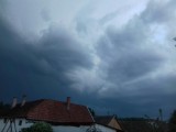 Gyula