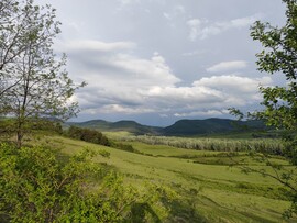 Borsodbóta