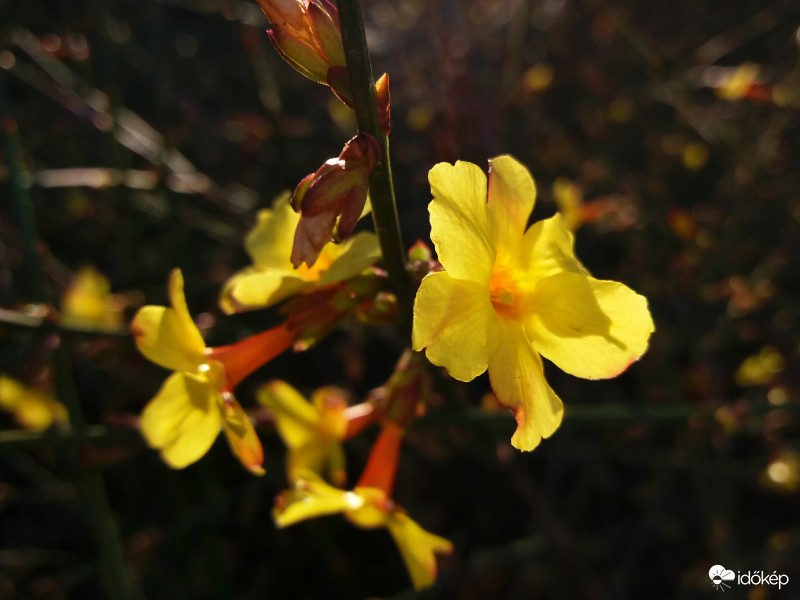 Végre tavaszodik felénk is