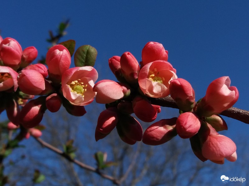 Szikrázó napsütésben