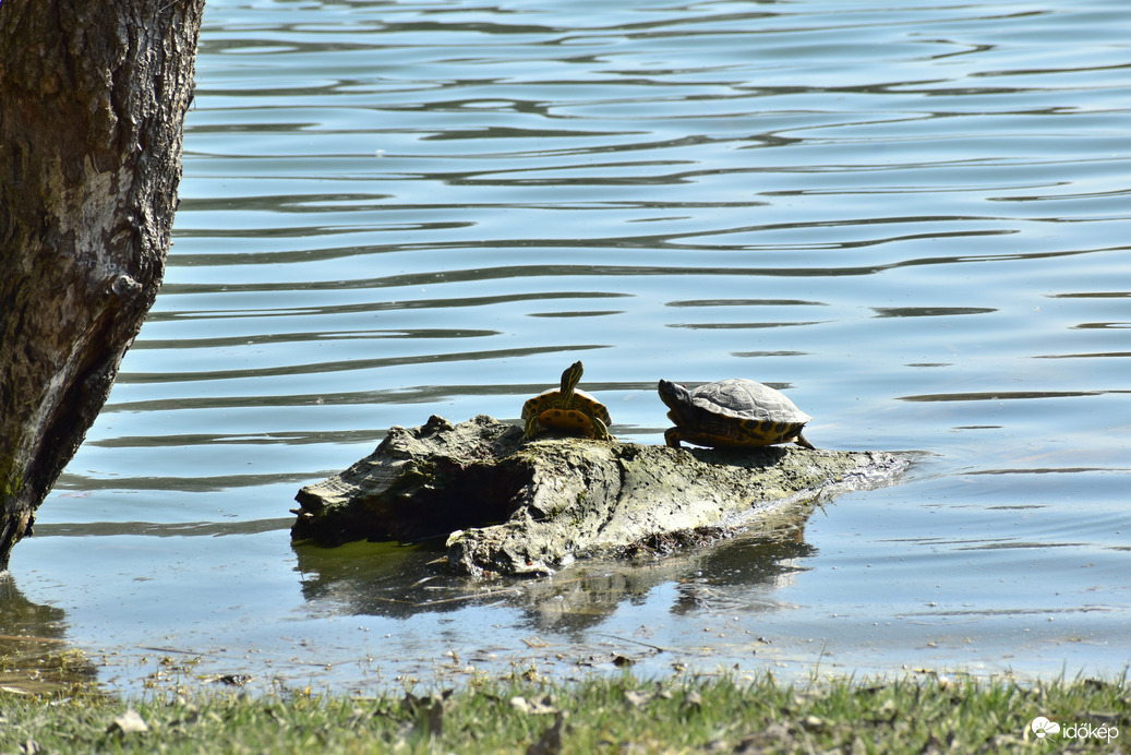 Természet lágy ölén