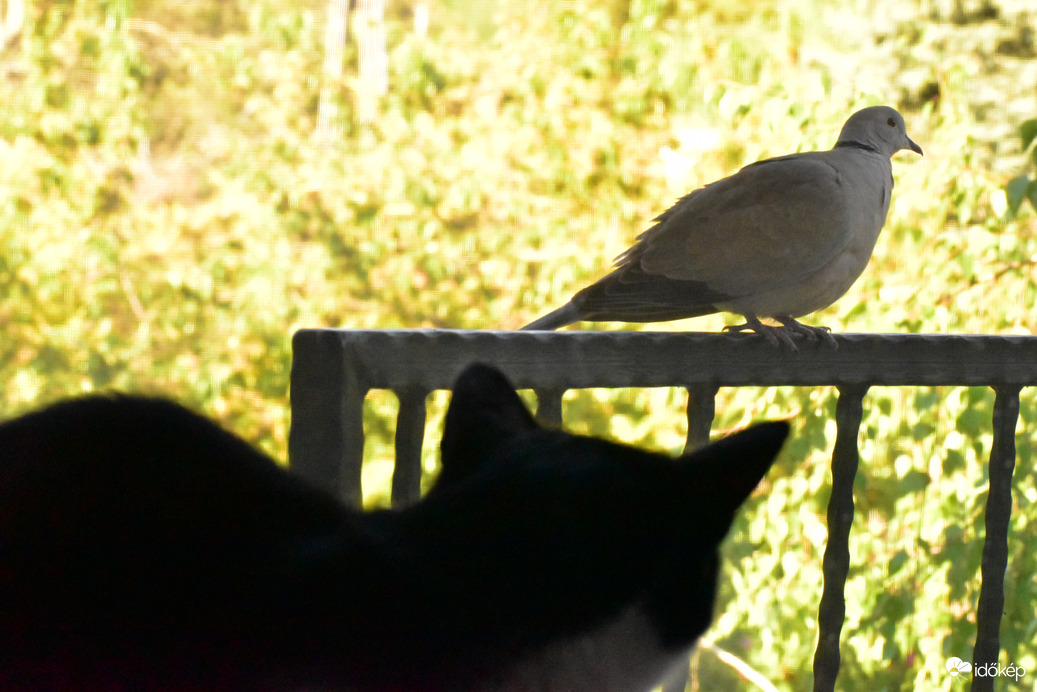 Kilátás az ablakból