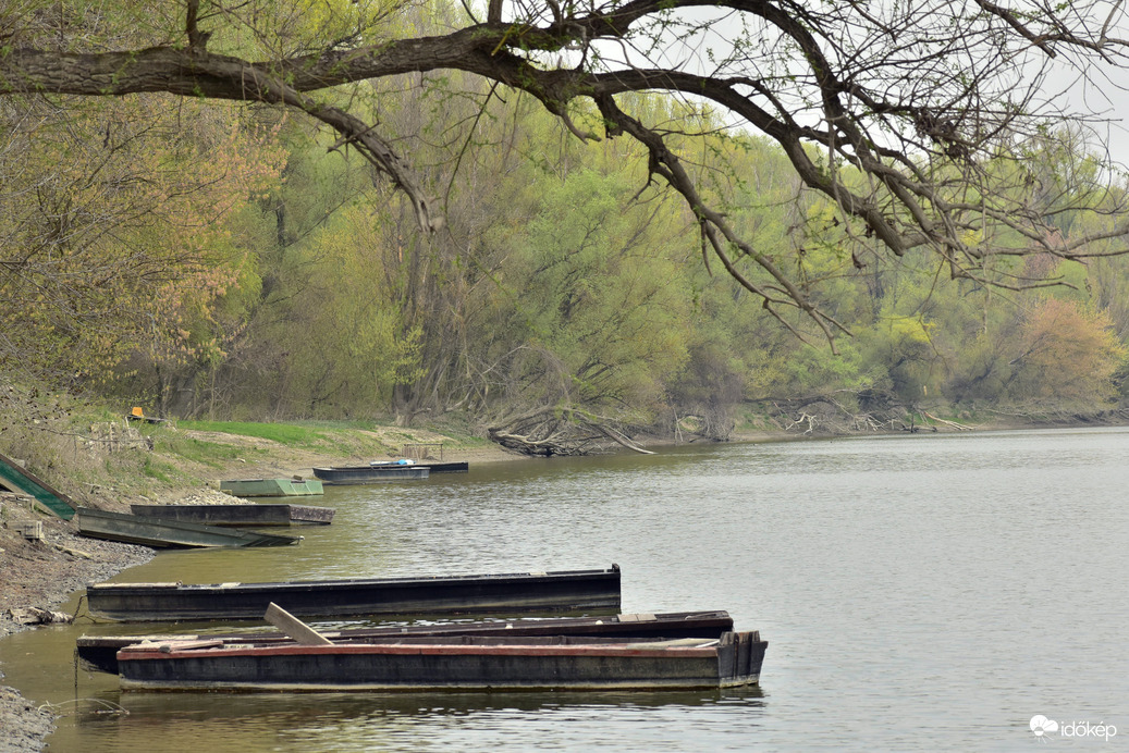 Ébredő természet Rácalmás