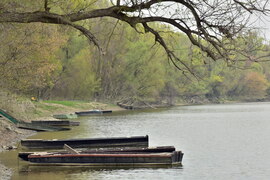 Ébredő természet Rácalmás
