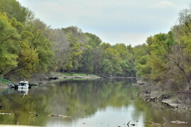 A természet tükörképe