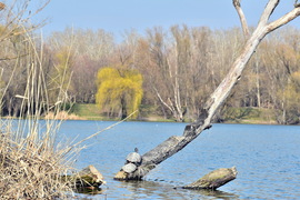 Nézelődünk és sütkérezünk