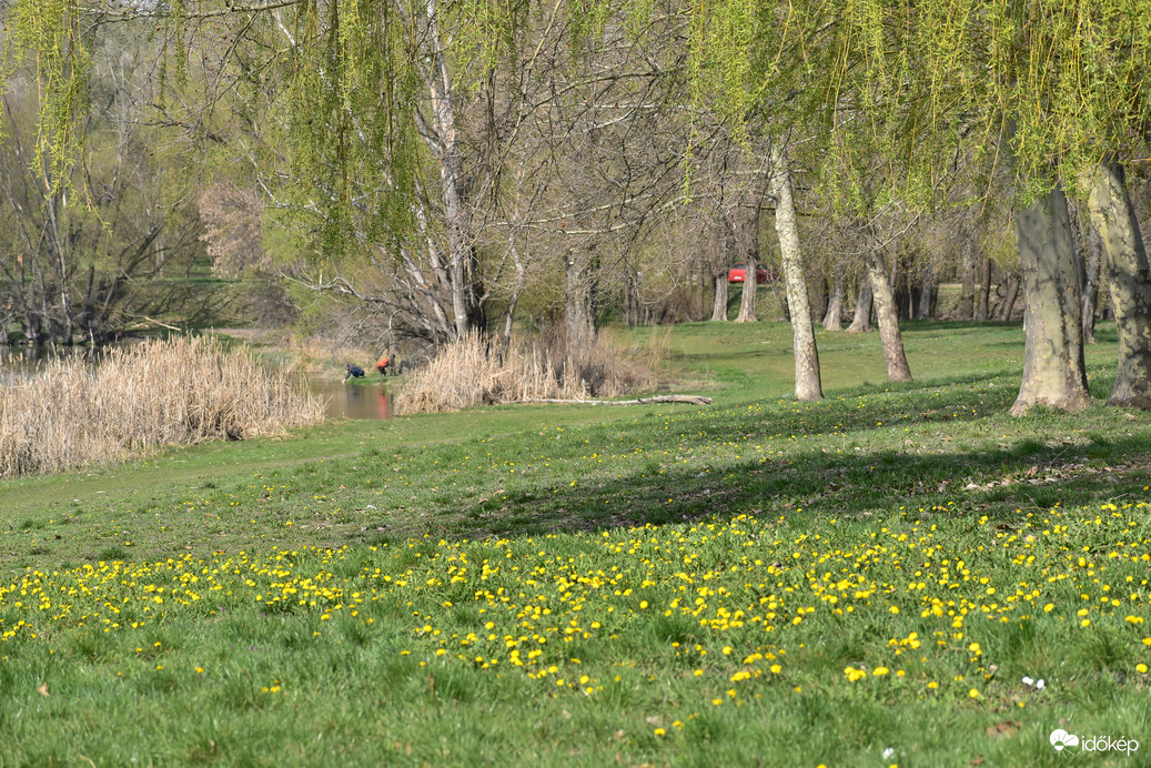 Szalki sziget Dunaújváros