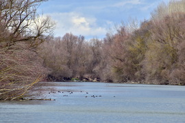 Egyszer napos, utána sötét felhők
