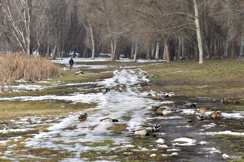 Dunaújváros Szalki sziget