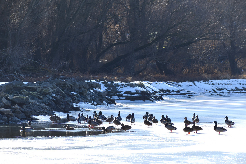 Még tartja magát a jég