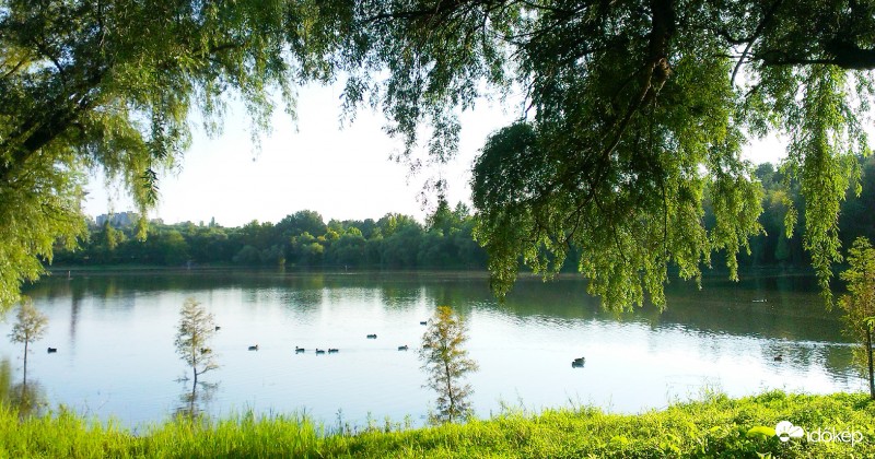 Vízparti csendélet