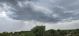 Gyula