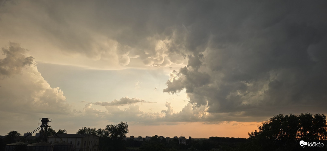 Gyula