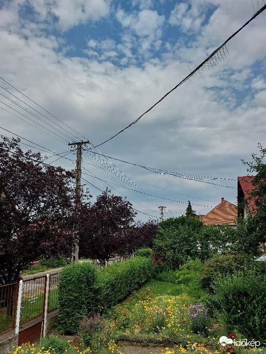 Gyál