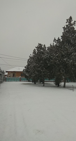 Gyál