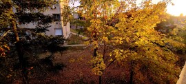 Kunszentmárton