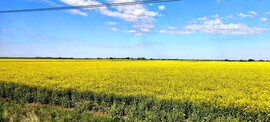 Cibakháza