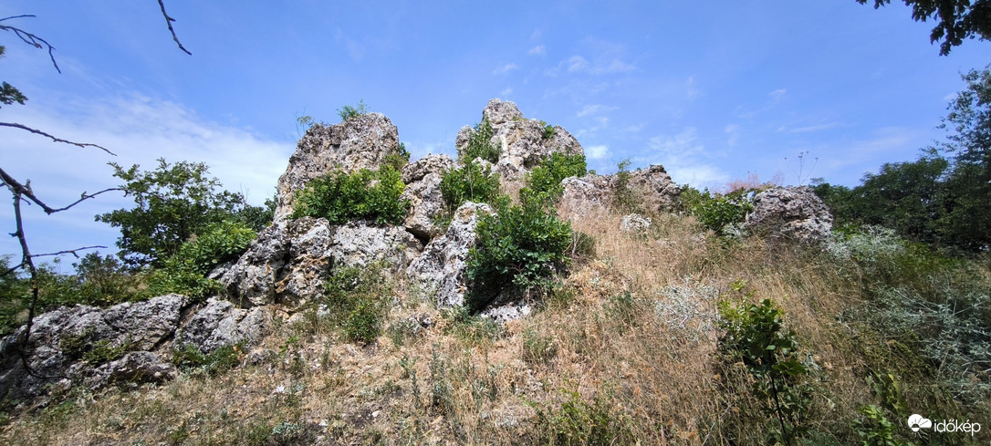 Aszófő