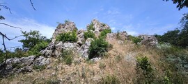 Aszófő