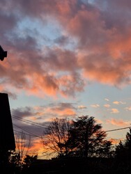 Budapest XVI.ker - Rákosszentmihály