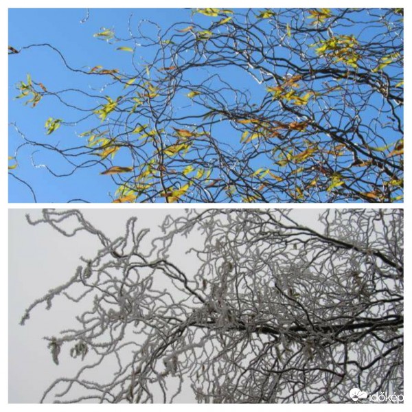 Ősz-Tél,egy hét különbség ?