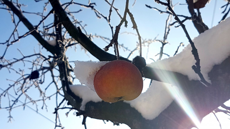 Az utolsó túlélő :)
