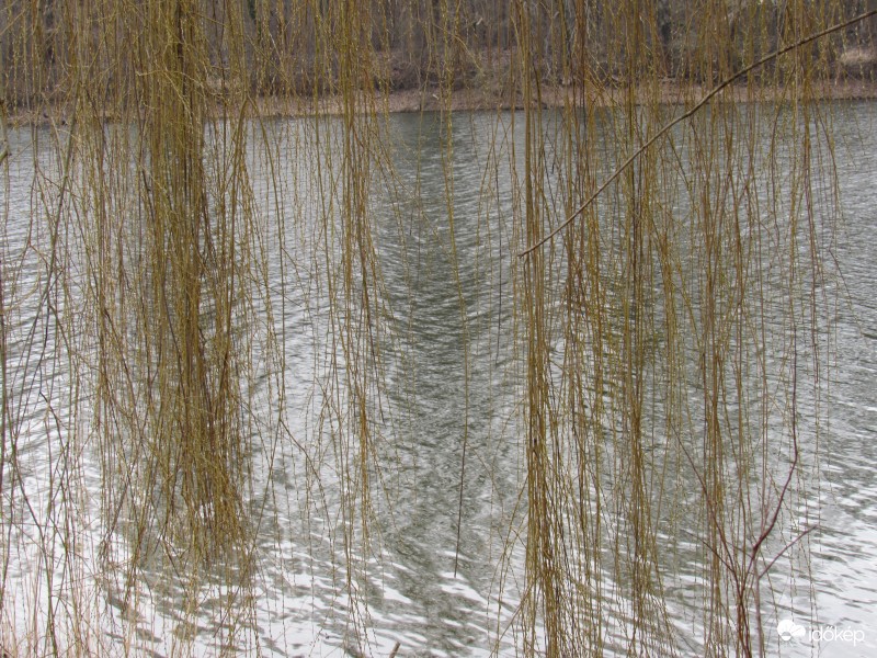Tisza parton