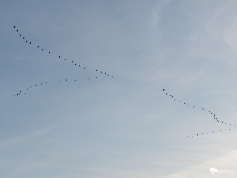 Vadludak V alakban duplán :)