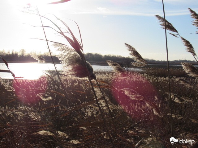 Szélben a Tiszánál