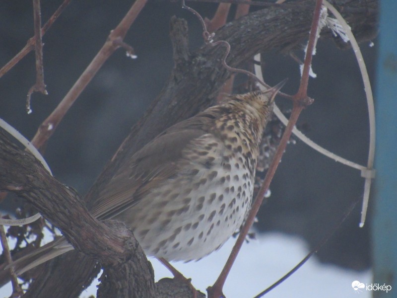 Mindjárt elérem :)