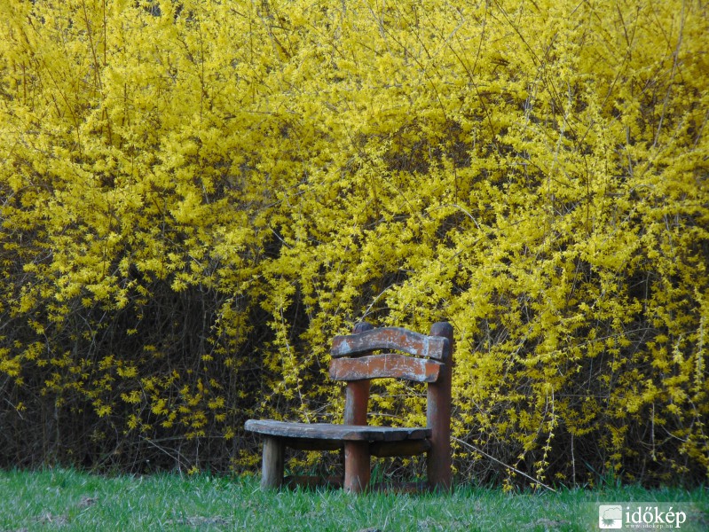 Aranyeső ölelésében