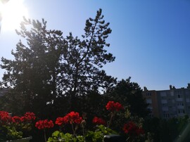 Nagykanizsa