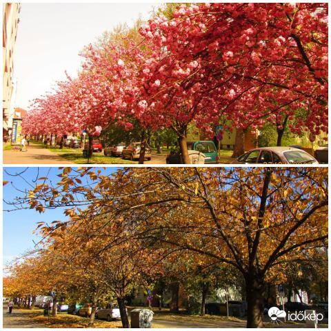 Változnak az évszakok...