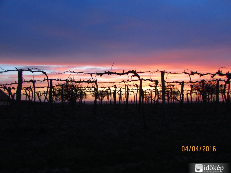 Szekszárdi dombokon