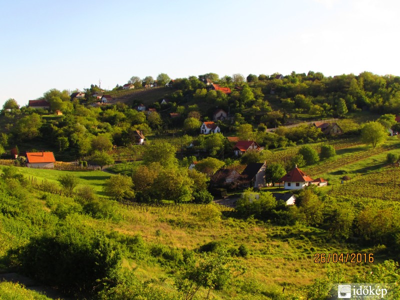 zöldellő domboldal