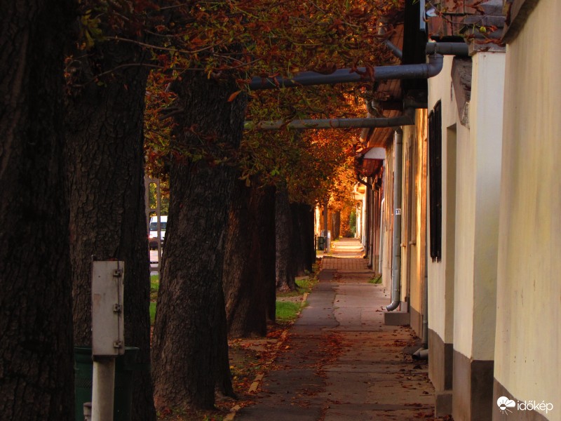 gesztenyefa alagút