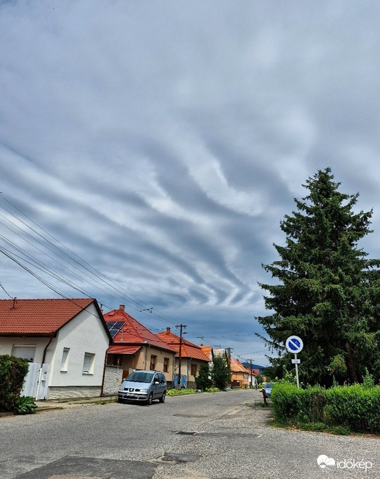 Pásztó