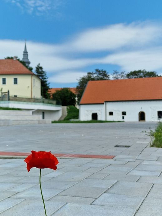 Pásztó