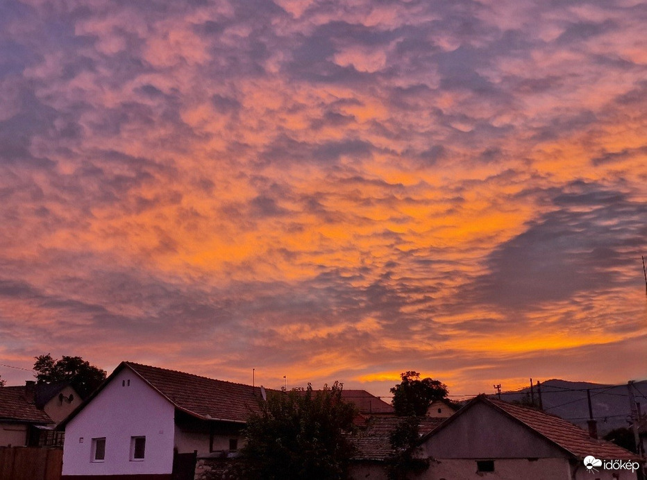 Pásztó