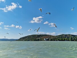 Szántód