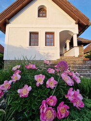 Balatonföldvár