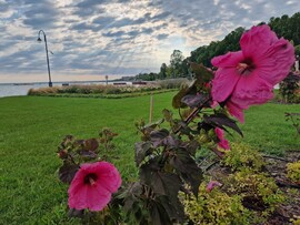 Siófok