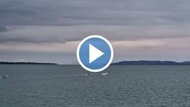 Balatonföldvár