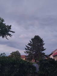 Kiskunfélegyháza