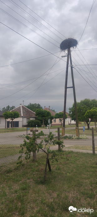 Bácsszőlős