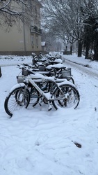 robertobaggio fotója